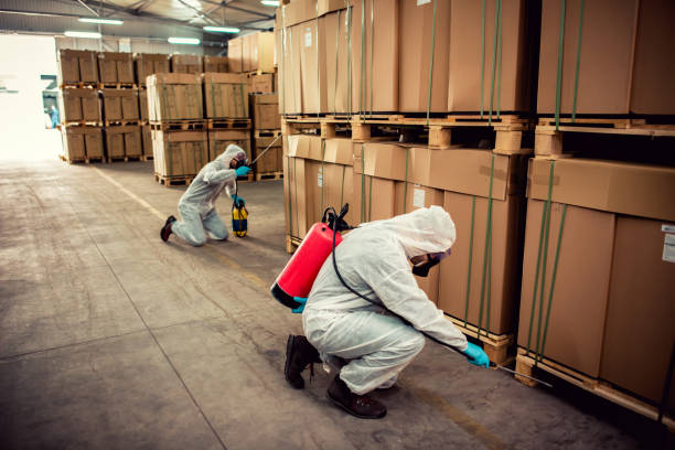 Best Wasp Removal Services  in The Hills, TX