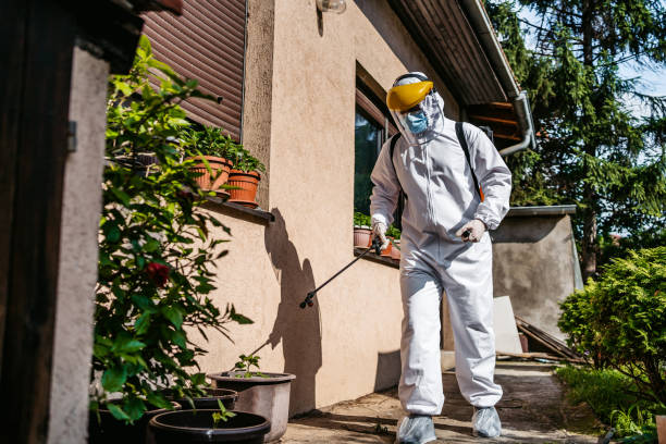 Best Pest Inspection Near Me  in The Hills, TX