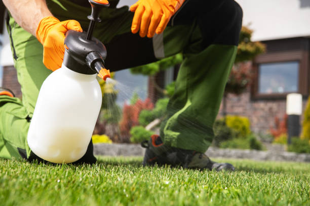 Best Pest Prevention Services  in The Hills, TX