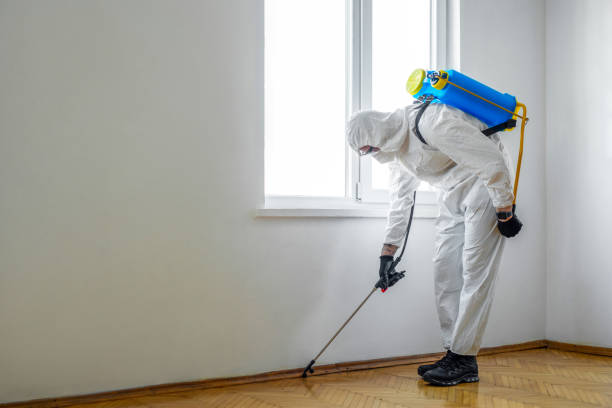 Best Pest Control Near Me  in The Hills, TX