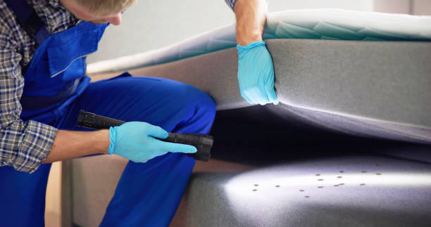 Best Bed Bug Extermination  in The Hills, TX