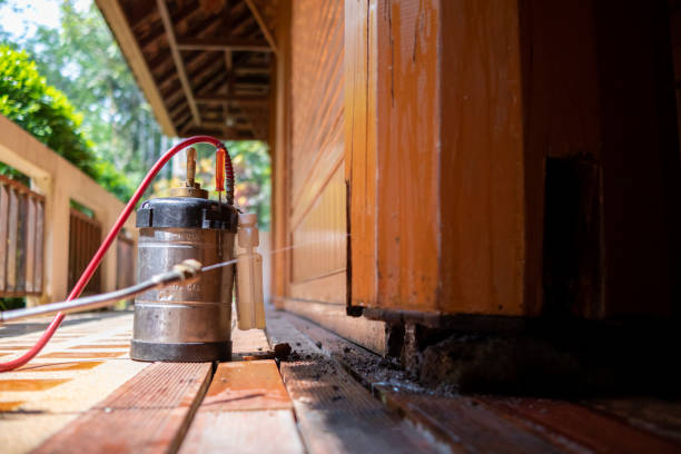 Best Best Pest Control Companies  in The Hills, TX