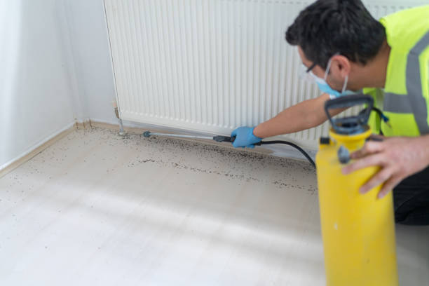 Best Best Pest Control Companies  in The Hills, TX