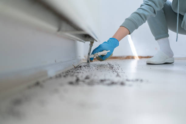 Best Affordable Pest Control Services  in The Hills, TX